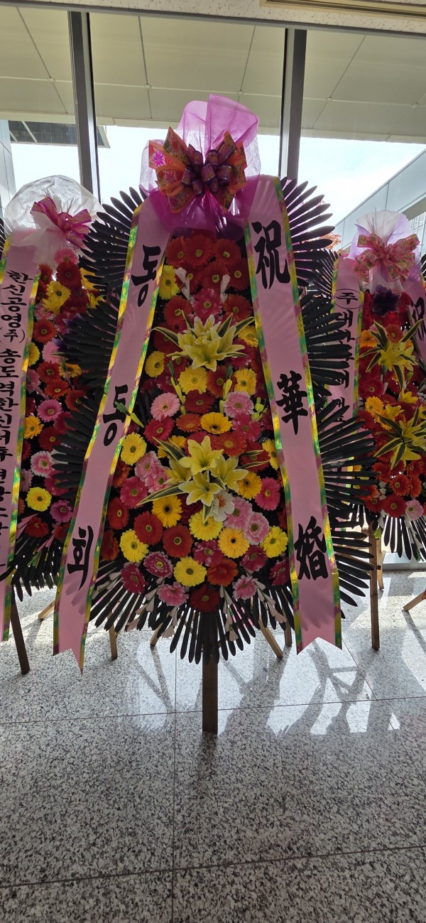 업로드 이미지