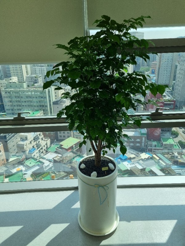 배송사진