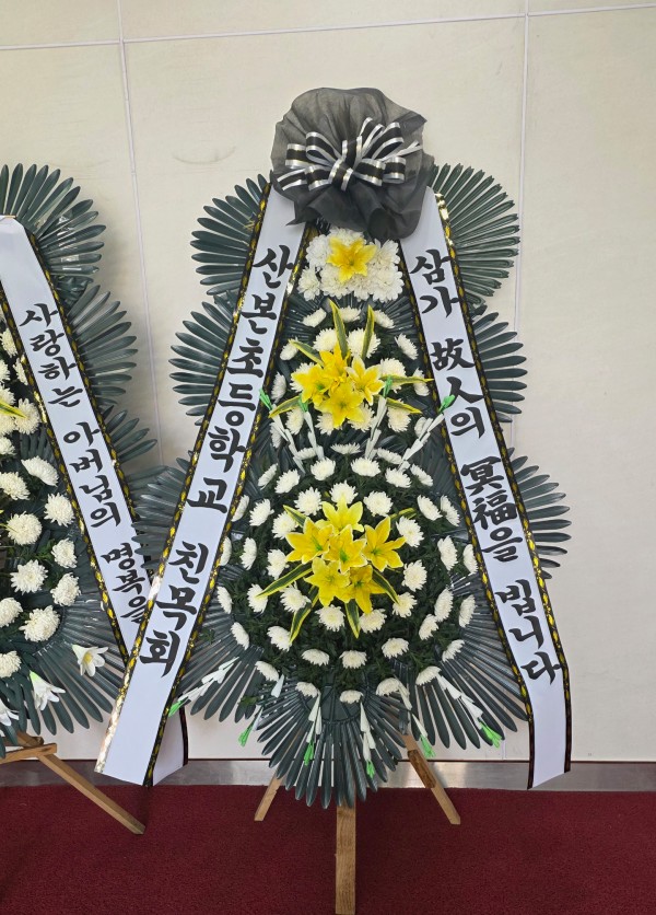 업로드 이미지