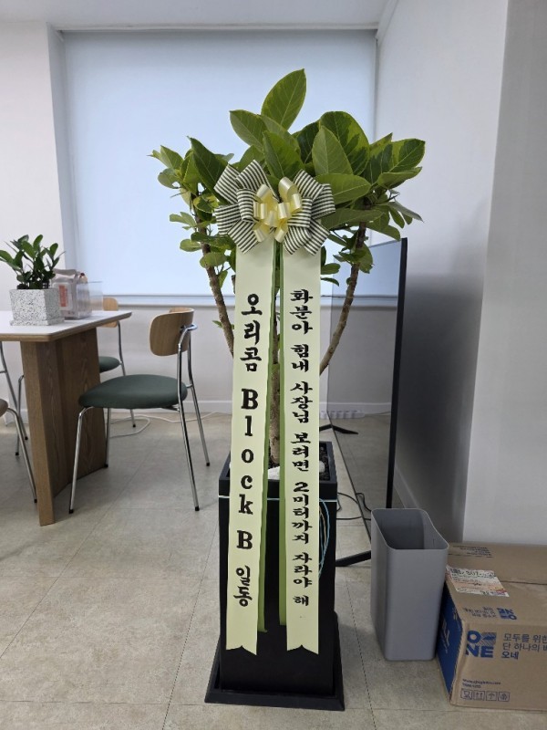 배송사진