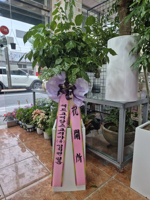 업로드 이미지