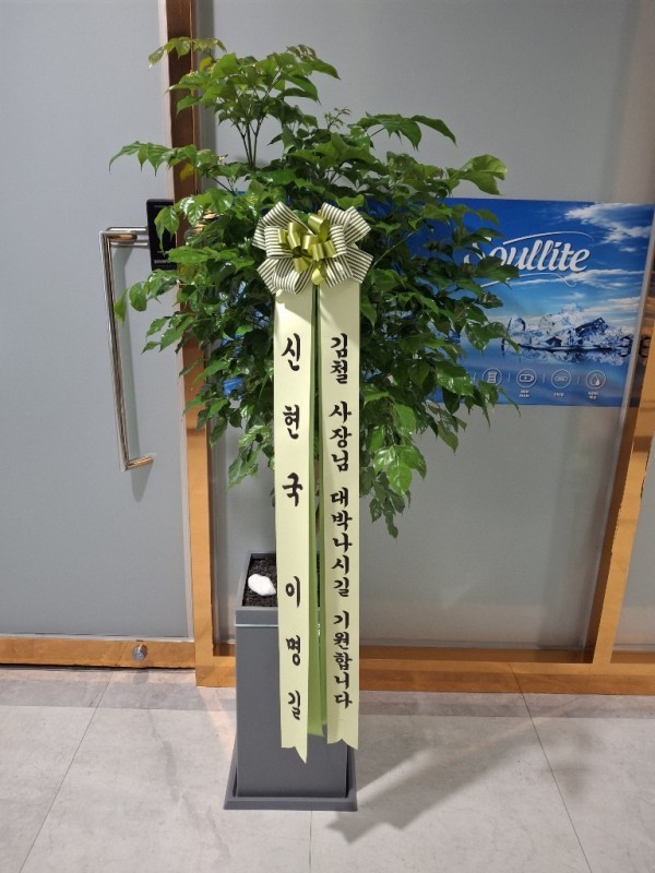 배송사진