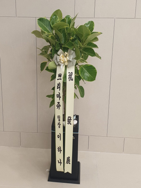 배송사진