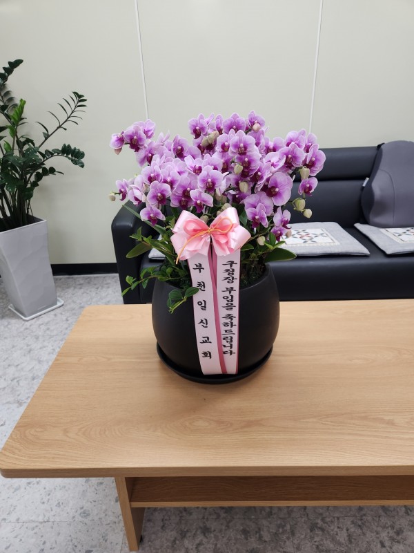 업로드 이미지