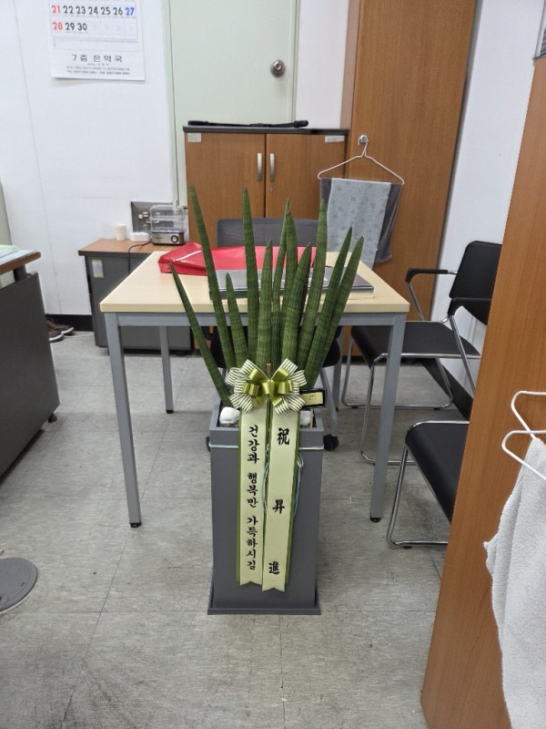 배송사진