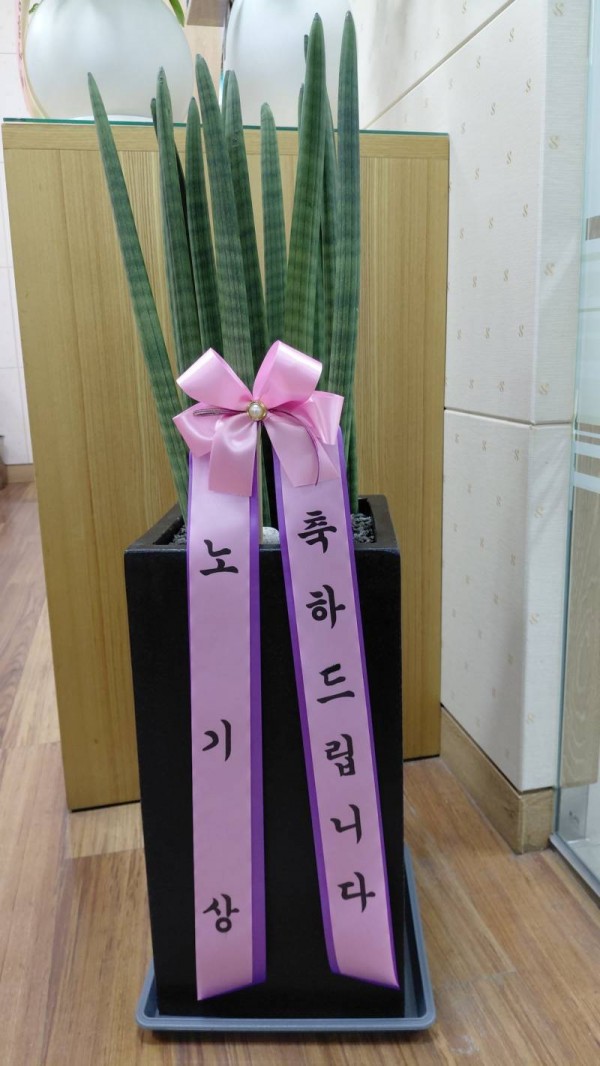 업로드 이미지
