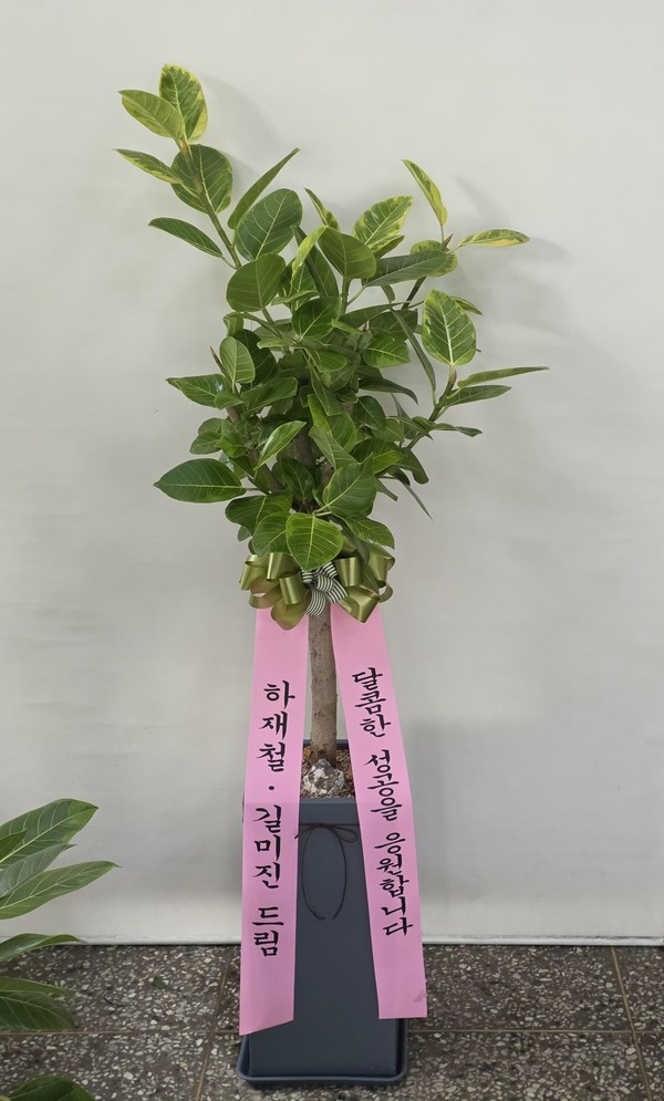 배송사진