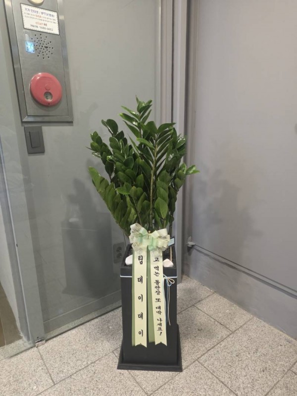 배송사진