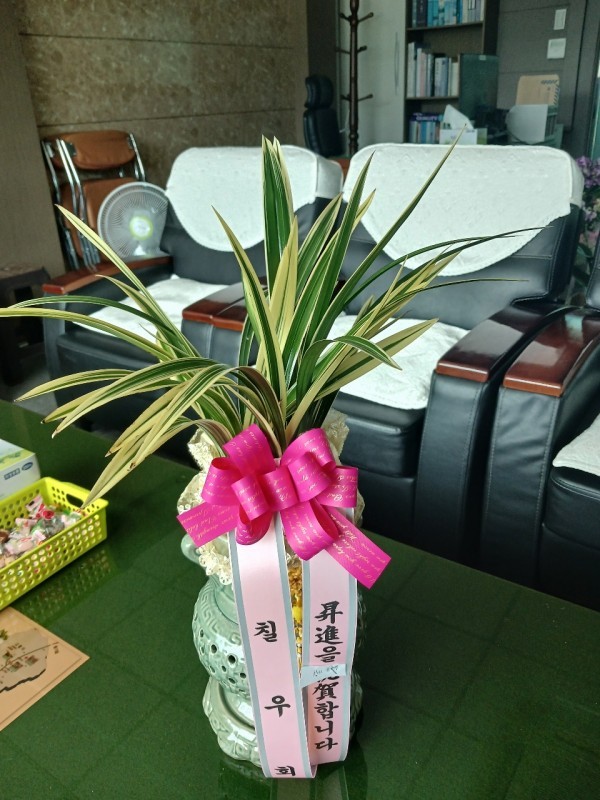 배송사진
