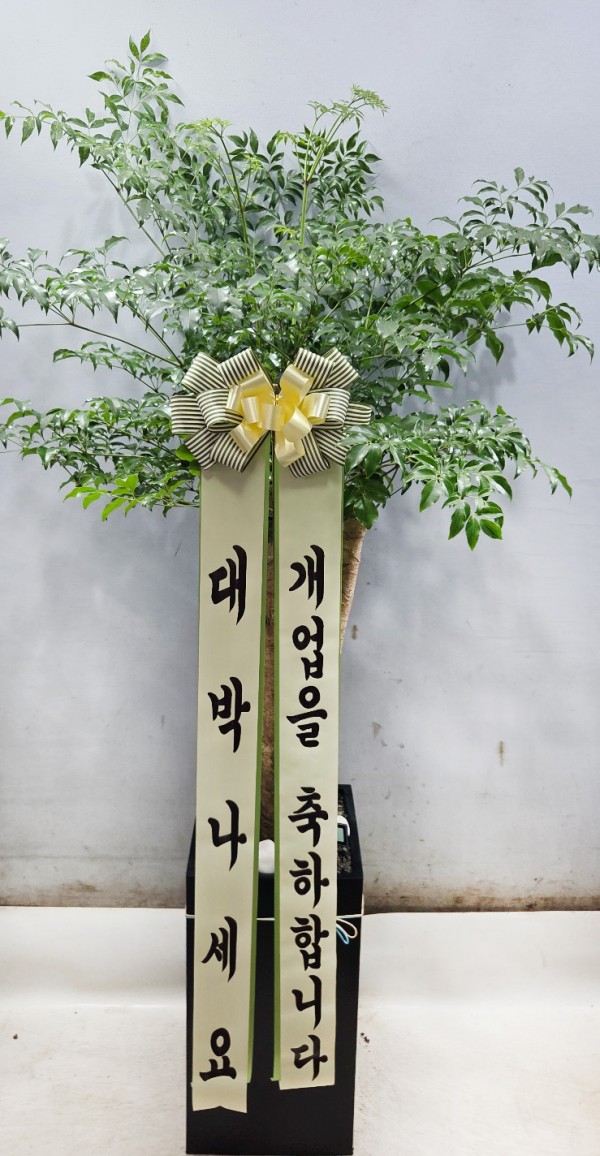 업로드 이미지