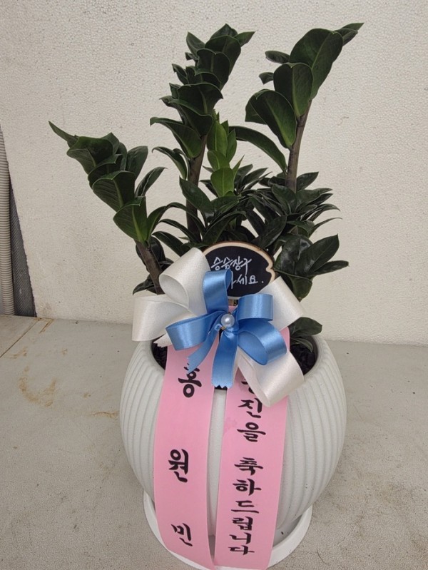 배송사진
