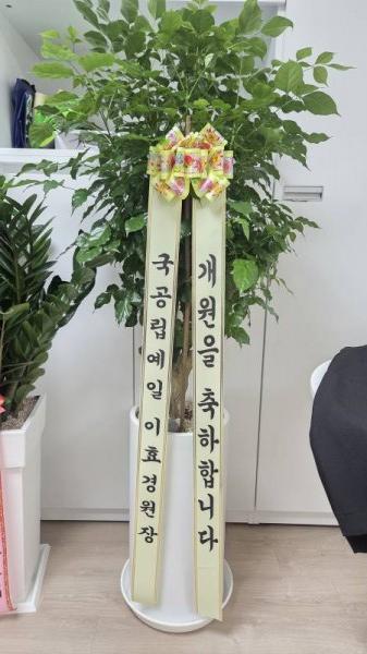 업로드 이미지