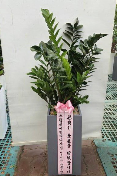 업로드 이미지
