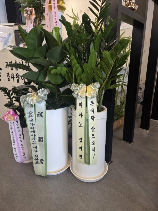 업로드 이미지