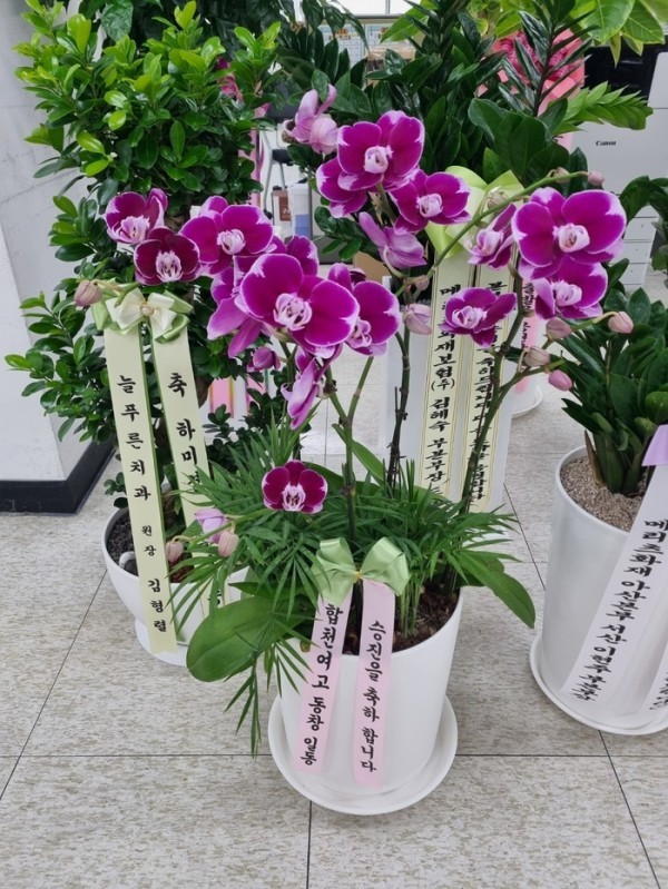 배송사진