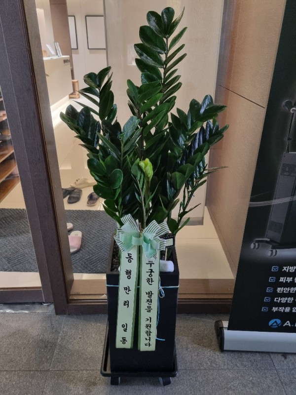 업로드 이미지