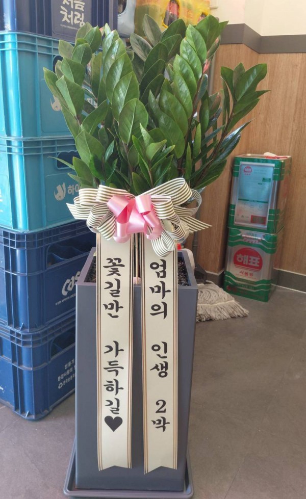 배송사진