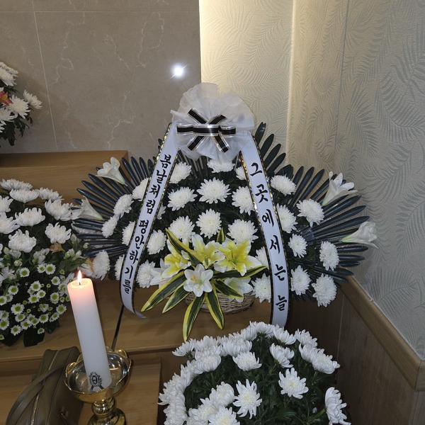 업로드 이미지