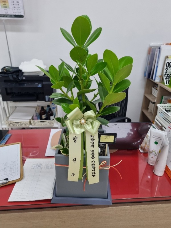 배송사진