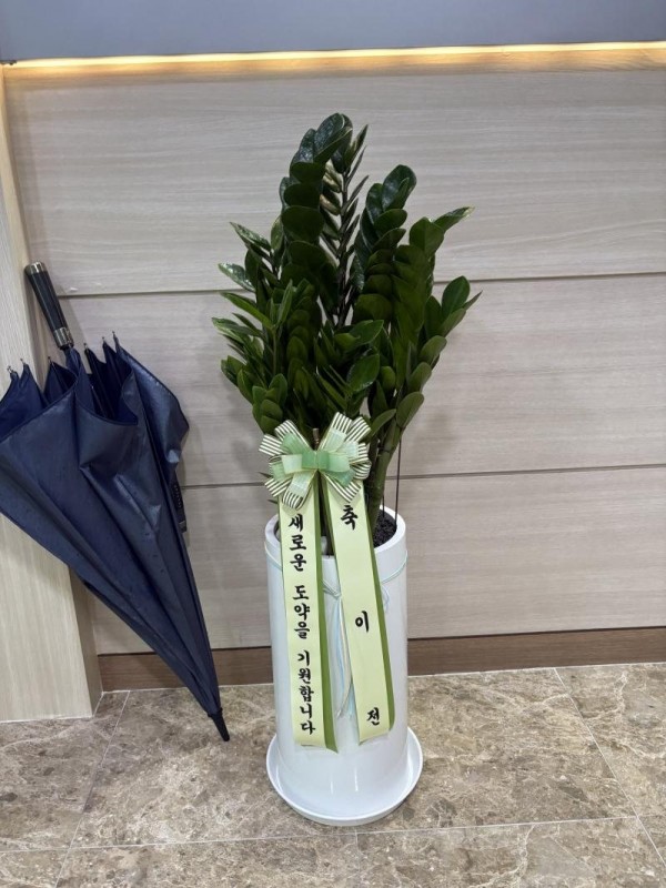 배송사진