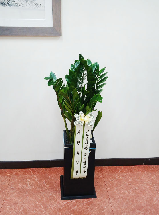 배송사진