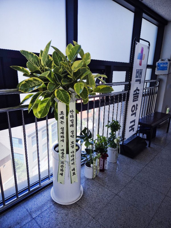 업로드 이미지