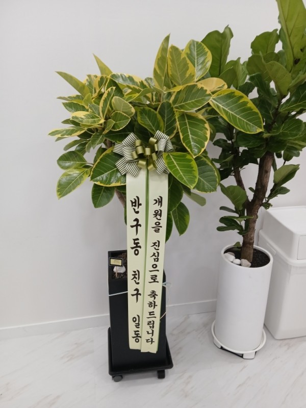 배송사진