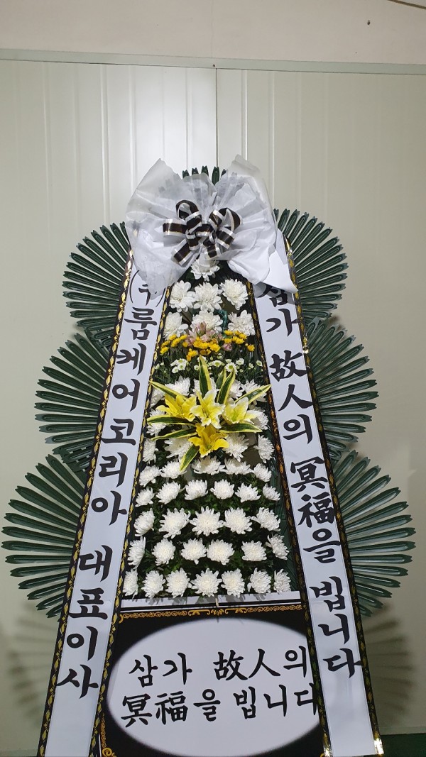 업로드 이미지
