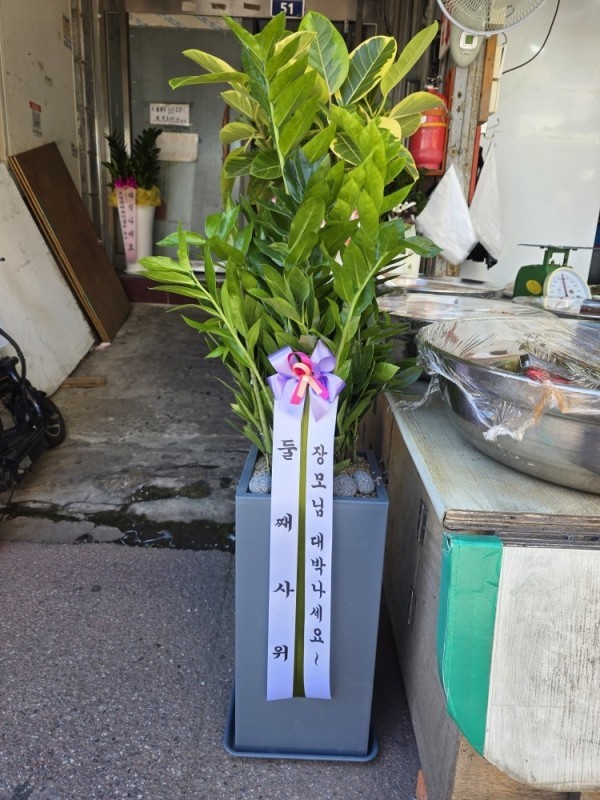 배송사진