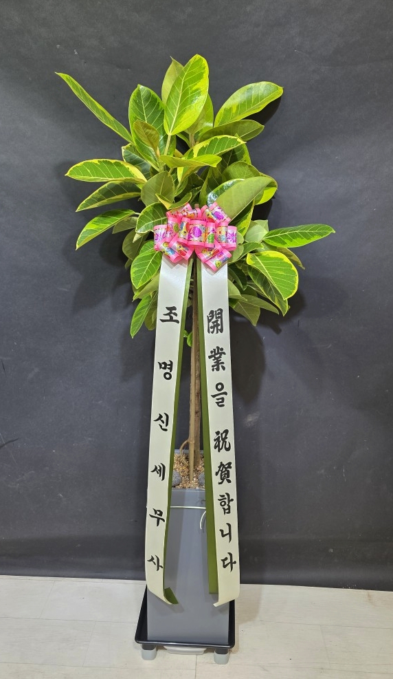 업로드 이미지