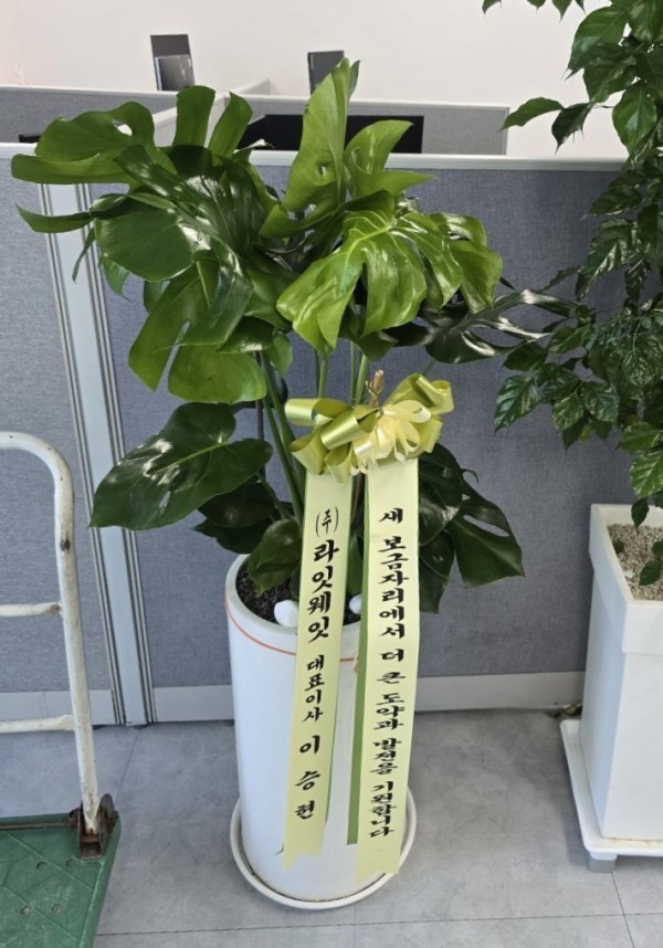 배송사진