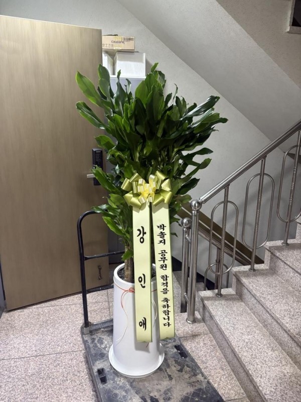 배송사진