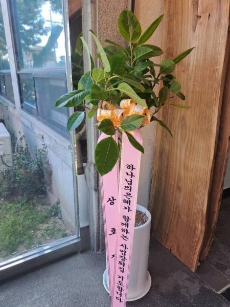 배송사진