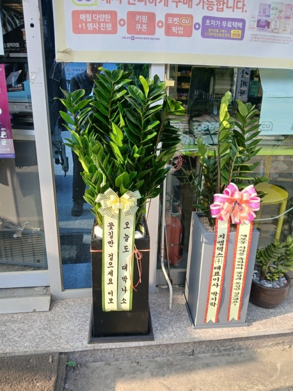 업로드 이미지