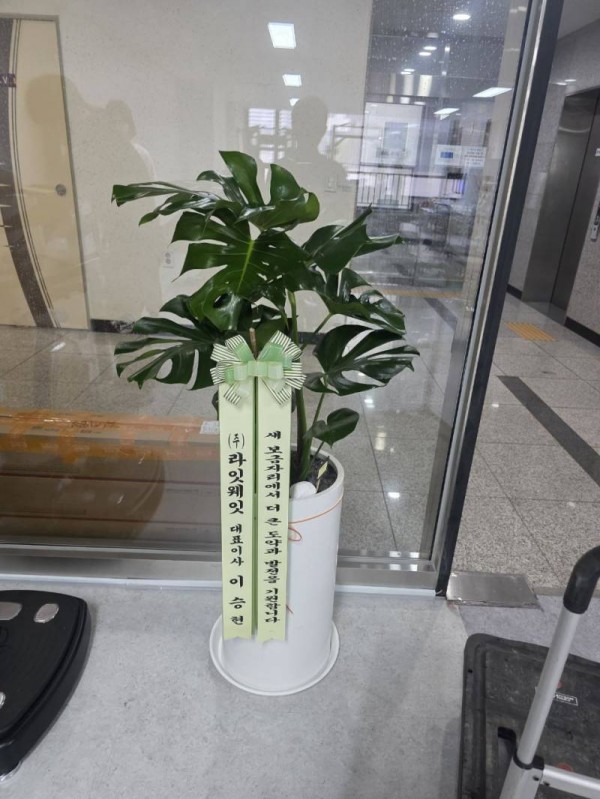업로드 이미지