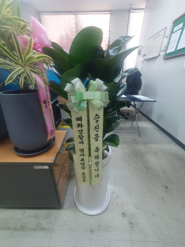 배송사진