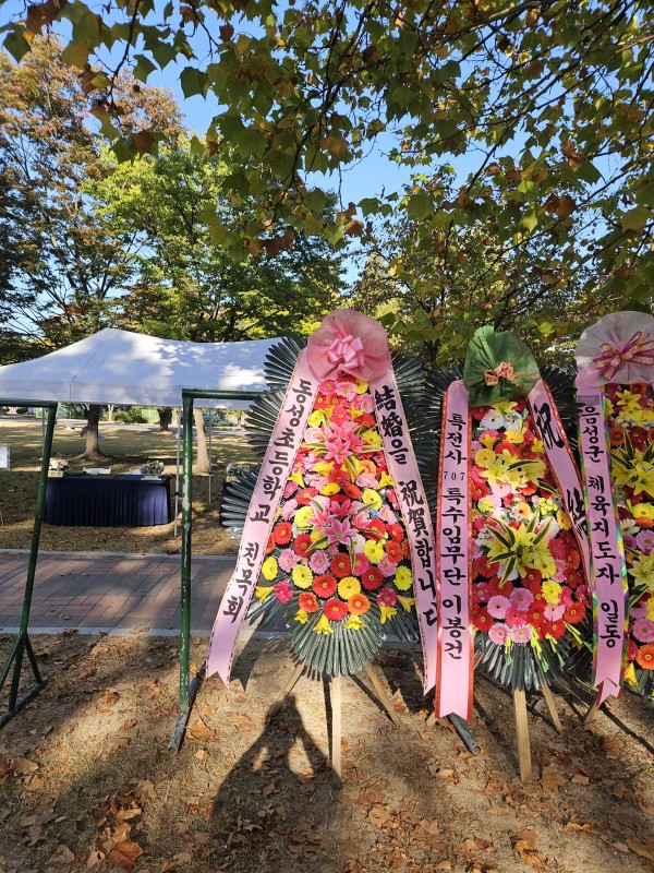 업로드 이미지