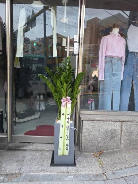 업로드 이미지