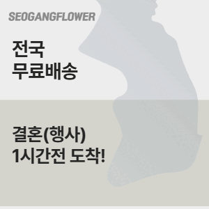 배너이미지