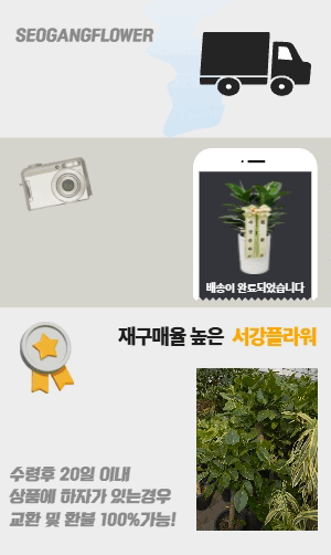 배너이미지