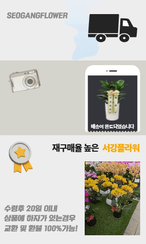 배너이미지