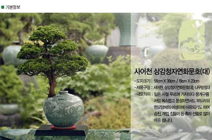 설명이미지