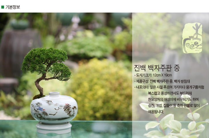 설명이미지