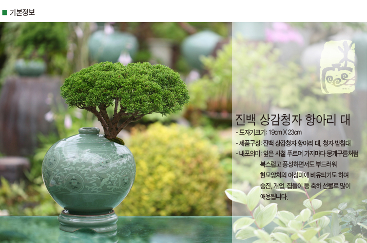 설명이미지