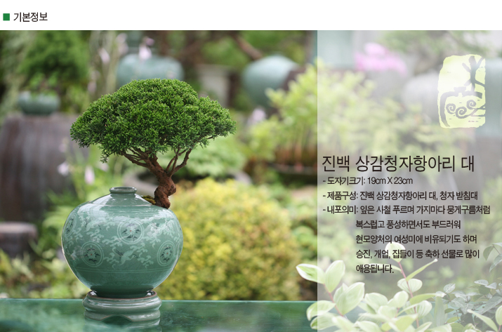 설명이미지