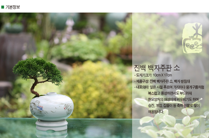 설명이미지