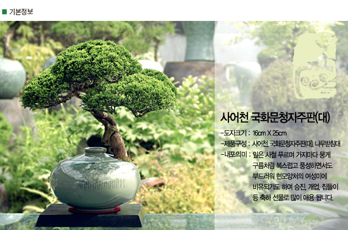 설명이미지