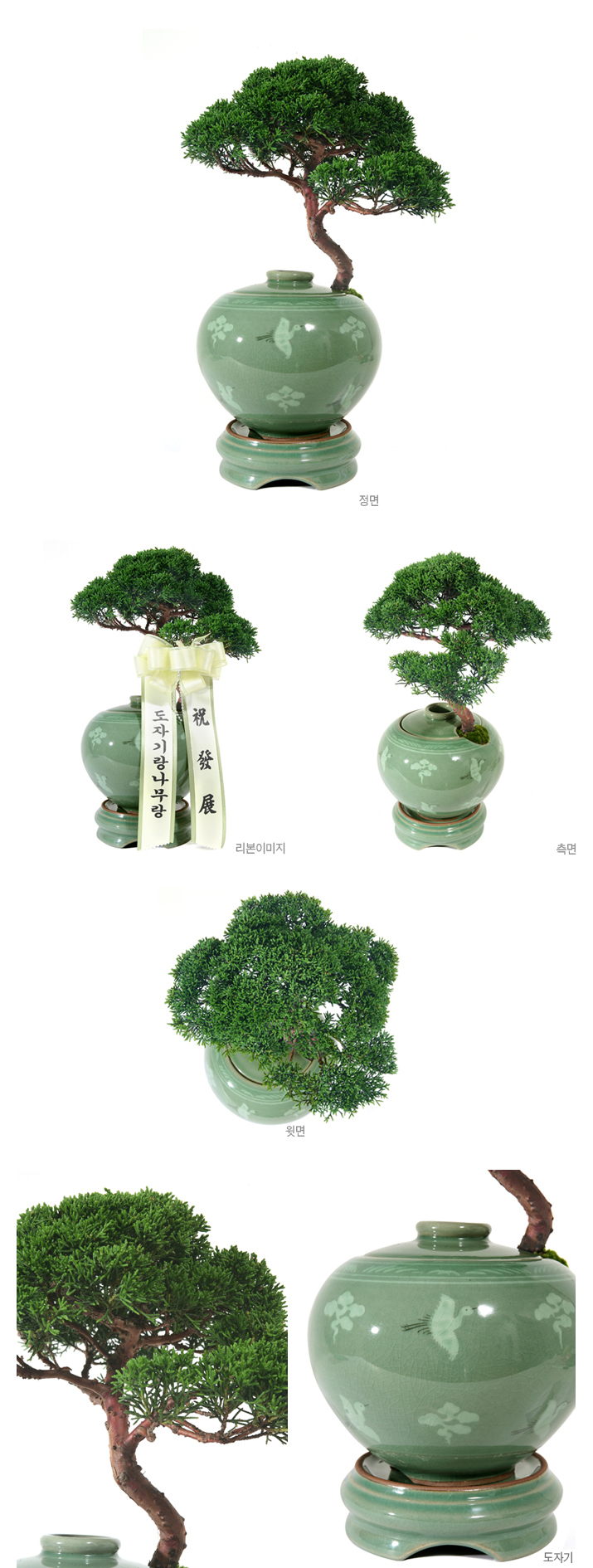 설명이미지