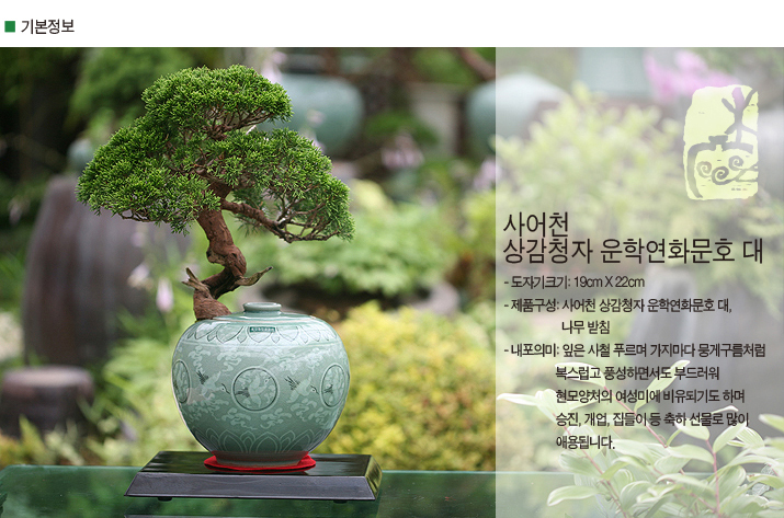 설명이미지