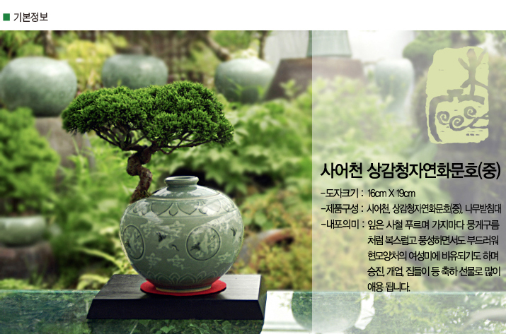 설명이미지